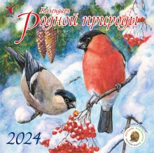 Календарь 2024 «Календарь родной природы»